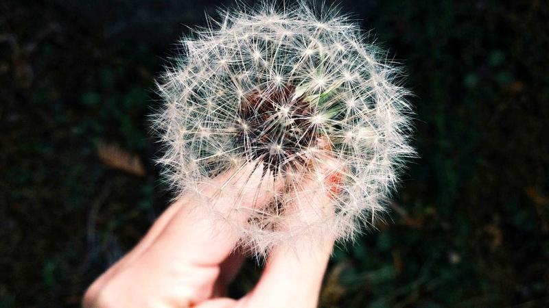 问鼎下载安全检测机制